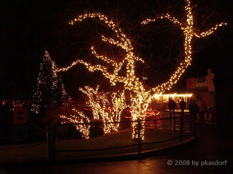051 Toledo Zoo Light Show [2008 Dec 27].JPG - Scenes from the Toledo Zoo Light Show.